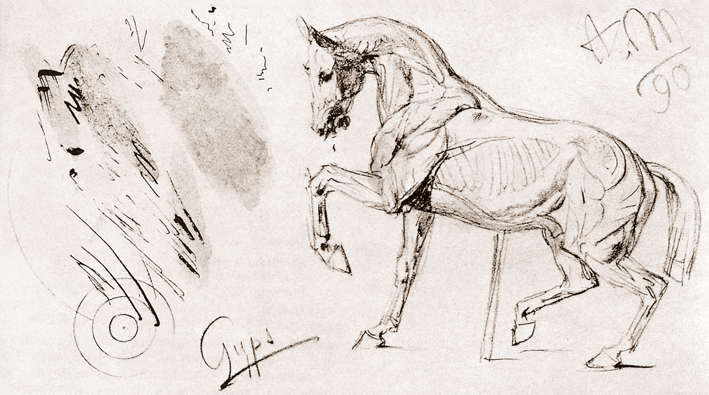  Adolpyh Von Menzel —— 马的模型